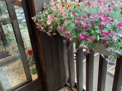 -花悦豆香