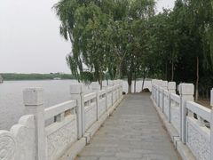 -大兴滨河森林公园