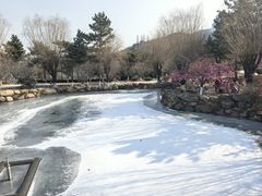 -石岛赤山风景区