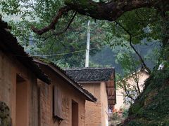 -杨家堂村