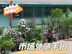 -花鸟鱼虫鲜花绿植市场(玉泉路店)