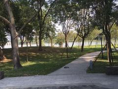 -顺峰山公园