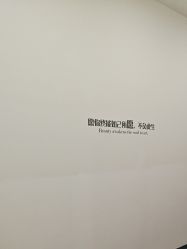 -Yestar艺星医疗美容医院