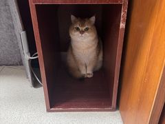 -宠福鑫动物医院(城北分院)