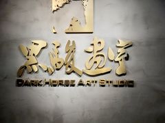 -黑骏画室·深圳美术中高考黄埔军校