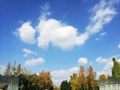 景点-金沙遗址博物馆