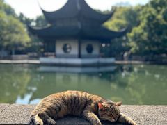 -西园寺