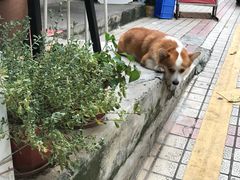 -小梁哥云吞面(黄贝岭店)