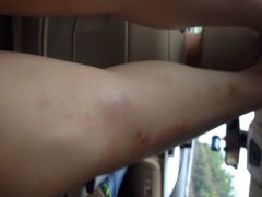 龙井峡漂流-龙井峡漂流