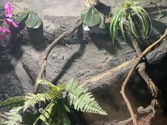 -常州海昌海洋探索馆