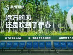 -五营红松林海景区