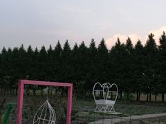 -嘉北郊野公园