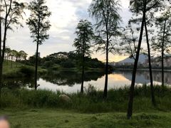 -飞来湖湿地公园