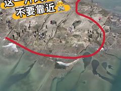 -日照灯塔风景区