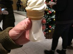 -麦当劳(新王府井店)