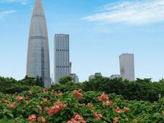 -深圳湾公园(南山区)