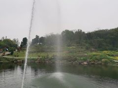-巢湖姥山岛
