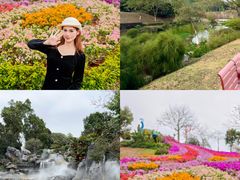 -东莞植物园