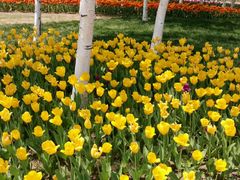 -长春公园(普阳街道)