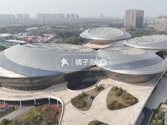 -南京眼步行桥