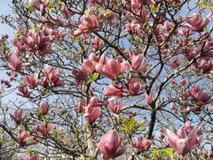 -国家图书馆·古籍馆