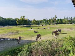 -宁波野生动物园