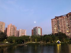 -四海公园(南山区)