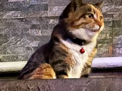 -旧雨咖啡·CoffeeFORU(黄村奥体店)