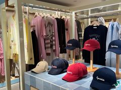 -岭南站NOVA