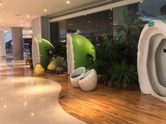 -春润大地海南椰子鸡(沙井京基百纳广场店)