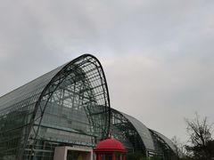 -南山植物园