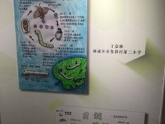 -上海昆虫博物馆