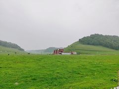 -关山草原