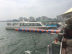 -碧海金沙