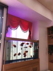 -WENDY·温迪皮肤管理