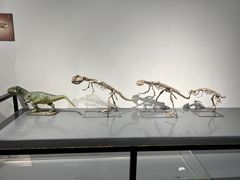 -大连自然博物馆