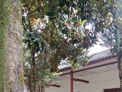 -中华贤母园-陶渊明纪念馆