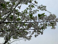 -沙市市中山公园