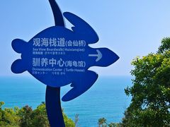 -广东惠东海龟国家级自然保护区