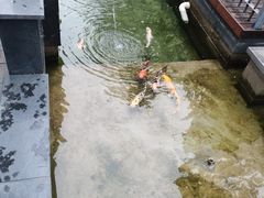 -民国红公馆·艺文空间(颐和路店)