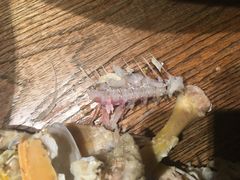 -70后饭吧(府河街店)
