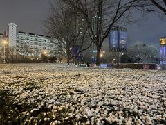 -远洋未来广场(育慧北路店)