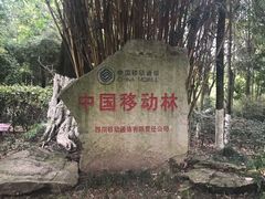 -邓小平故里