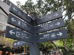 -小洲村