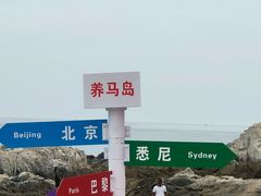 -养马岛旅游度假区
