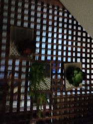 -香秀空间科技抗衰·美容中心