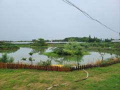 -美家乐农庄·露营·团建(大治路店)