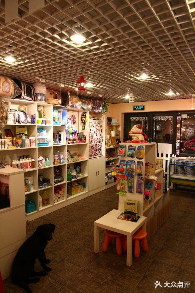 爱宠宠物店内