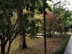 -福建鲤鱼洲酒店