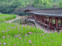 -龙头寺公园